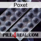 Poxet 31